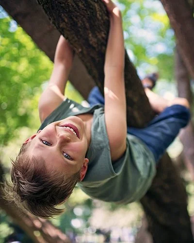 Ein Junge im Schulkindalter klettert auf einen Baum.