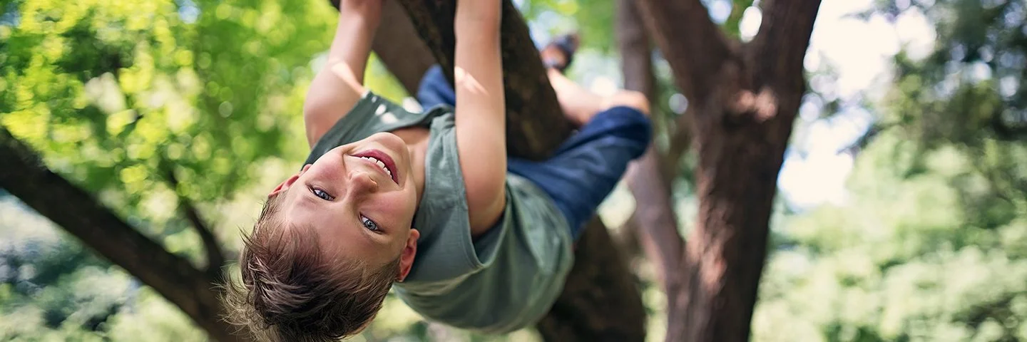 Ein Junge im Schulkindalter klettert auf einen Baum.