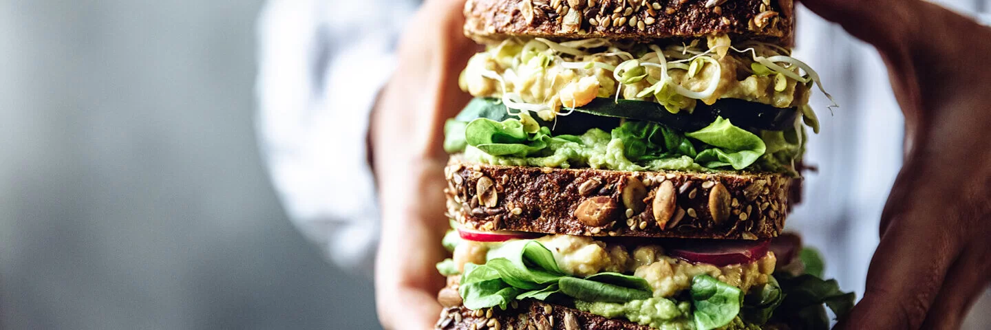 Ein gesund belegtes Vollkornbrot mit Salat, Radieschen, Gurken und Sprossen.