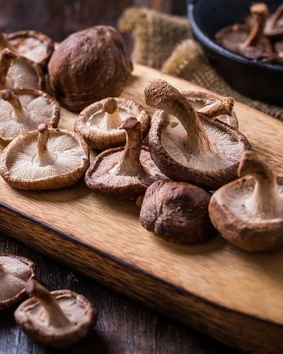 Shiitake-Pilze liegen mit Rosmarinzweigen und einem Messer auf einem Holzbrett.