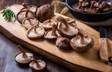 Shiitake-Pilze liegen mit Rosmarinzweigen und einem Messer auf einem Holzbrett.