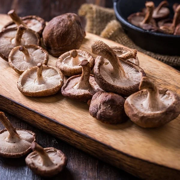 Shiitake-Pilze liegen mit Rosmarinzweigen und einem Messer auf einem Holzbrett.