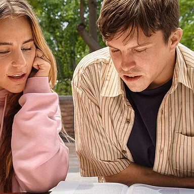 Zwei junge Frauen und zwei Junge Männer sitzen im Freien unter einem Baum. Auch als Studierende sind sie bei der AOK gut versichert.