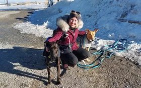 Stefanie Hess mit zwei Hunden auf dem Brocken.