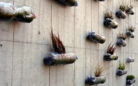 Durch Upcycling zu Blumentöpfen umfunktionierte Plastikflaschen an einer Mauer.