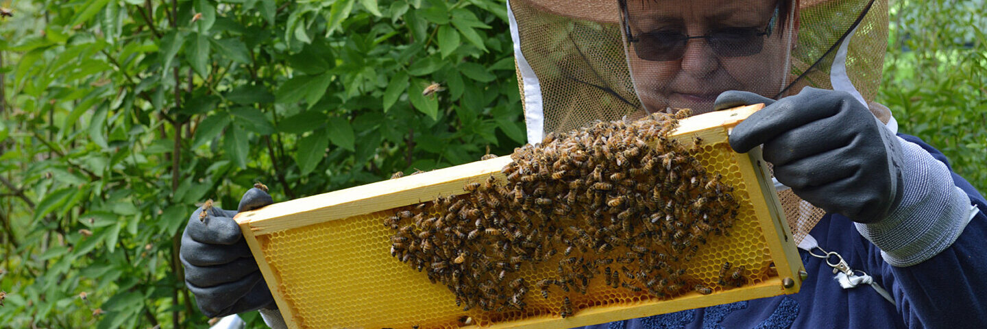 Heike Klein von der AOK bei der Arbeit mit Bienen.