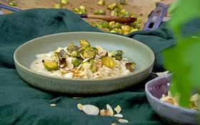 Risotto mit Zitrone und Rosenkohl, auf einem Teller angerichtet auf einem grünen Tischtuch, gekocht von Felicitas Then.