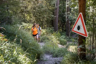 Ein junges Paar wandert durch einen Wald mit einer Zeckenwarnung