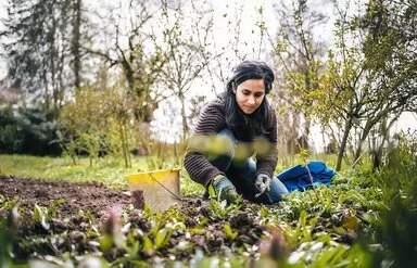Eine Frau trägt eine Wolljacke und Gartenhandschuhe, hockt in einem Garten und jätet Wildpflanzen im Gemüsebeet.