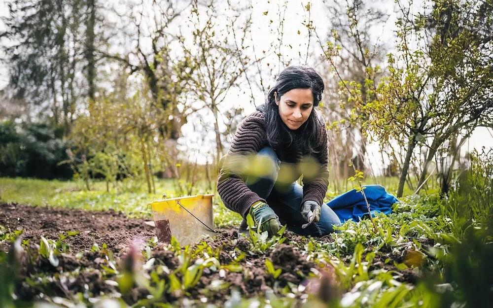 Eine Frau trägt eine Wolljacke und Gartenhandschuhe, hockt in einem Garten und jätet Wildpflanzen im Gemüsebeet.