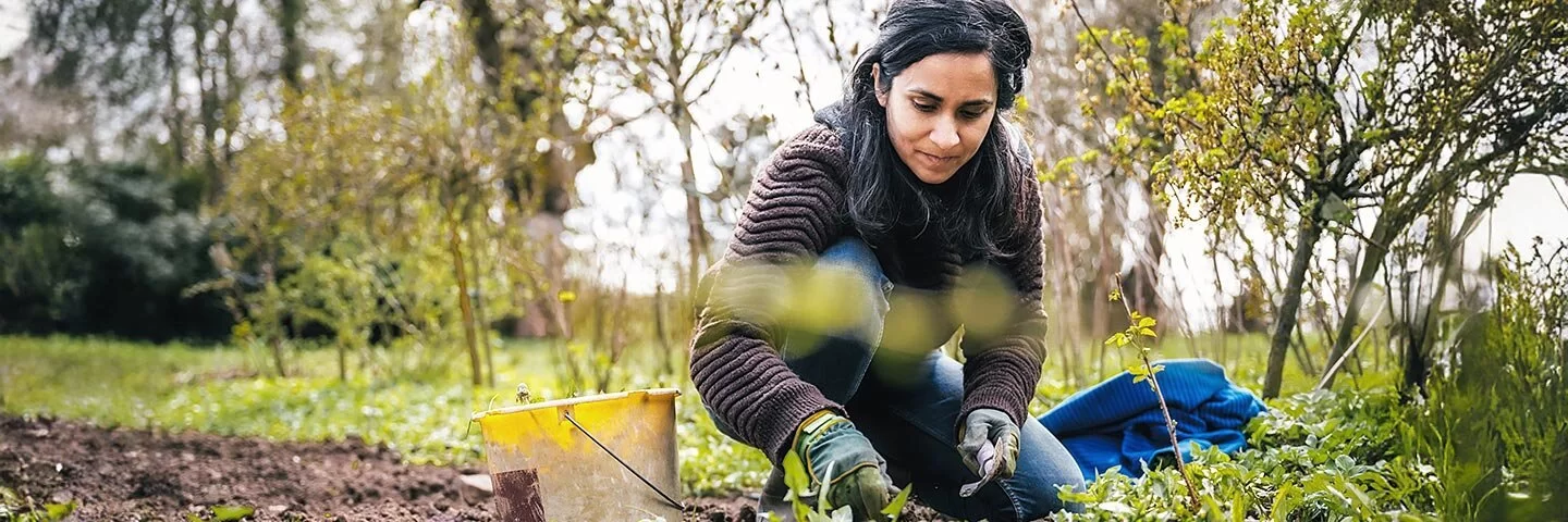 Eine Frau trägt eine Wolljacke und Gartenhandschuhe, hockt in einem Garten und jätet Wildpflanzen im Gemüsebeet.
