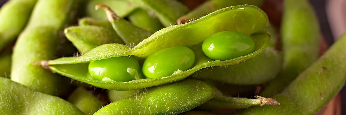 Frische grüne Edamame mit Schoten in einem Holzgefäß. Ein Schote ist offen, wodurch drei Edamamebohnen zu sehen sind.