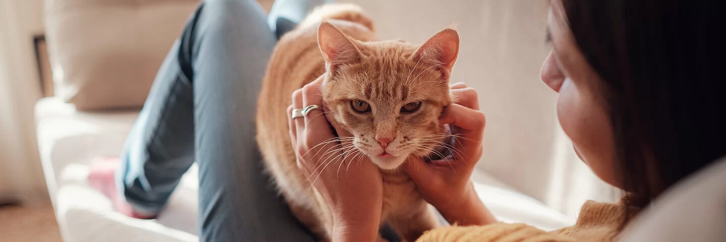 Eine junge Frau liegt auf der Couch und streichelt ihre orangefarbene Katze.