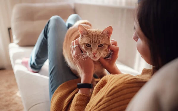 Eine junge Frau liegt auf der Couch und streichelt ihre orangefarbene Katze.