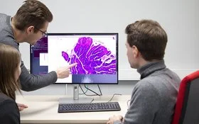 Prof. Dr. Nikolas Kather sowie ein Kollege und eine Kollegin vom EKFZ für Digitale Gesundheit in Dresden betrachten einen Gewebeschnitt auf einem Computermonitor.