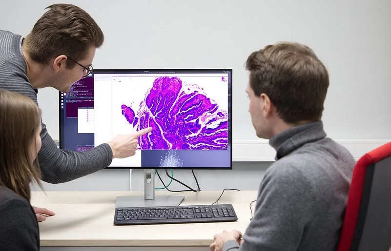 Prof. Dr. Nikolas Kather sowie ein Kollege und eine Kollegin vom EKFZ für Digitale Gesundheit in Dresden betrachten einen Gewebeschnitt auf einem Computermonitor.