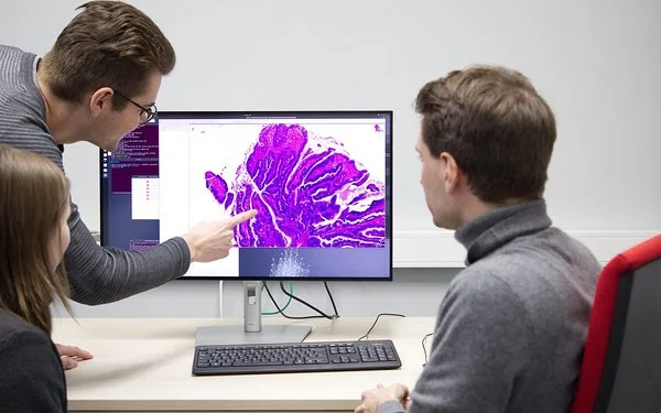 Prof. Dr. Nikolas Kather sowie ein Kollege und eine Kollegin vom EKFZ für Digitale Gesundheit in Dresden betrachten einen Gewebeschnitt auf einem Computermonitor.