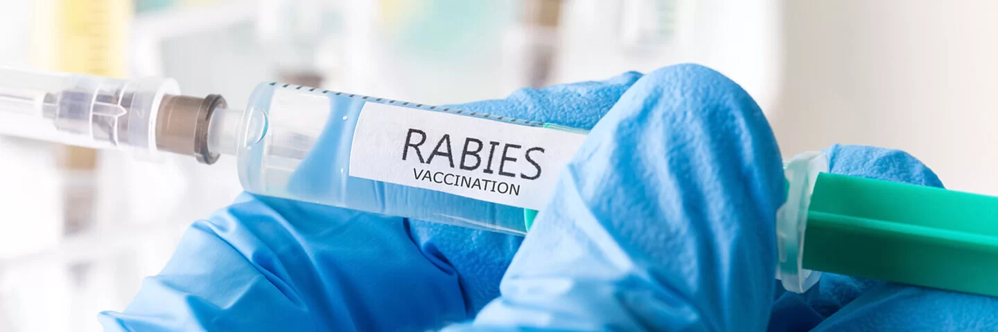 Ein Mediziner hält Rabies-(Tollwut)Impfstoff in der Hand.
