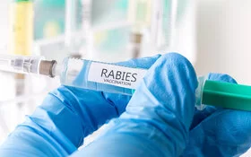 Ein Mediziner hält Rabies-(Tollwut)Impfstoff in der Hand.