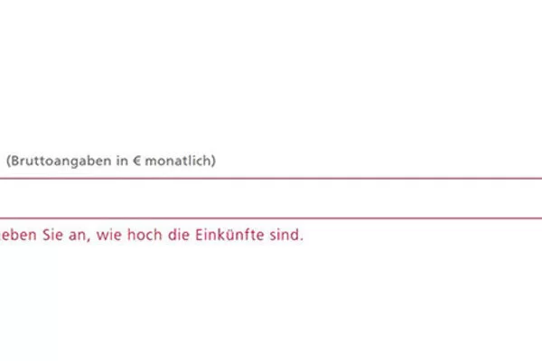 Das Bild zeigt einen weißen Balken. Darüber steht: Betrag (Bruttoangaben in Euro monatlich). Darunter steht: "Bitte geben Sie an, wie hoch die Einkünfte sind."