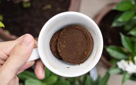 Jemand hält eine Tasse mit Kaffeesatz als Dünger für den Garten bereit, so funktioniert Recycling