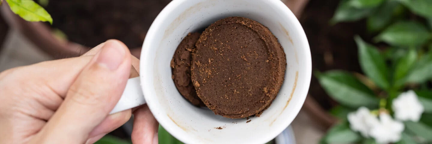Jemand hält eine Tasse mit Kaffeesatz als Dünger für den Garten bereit, so funktioniert Recycling