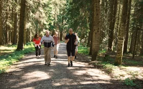 Eine Gruppe älterer Menschen läuft durch einen Wald.