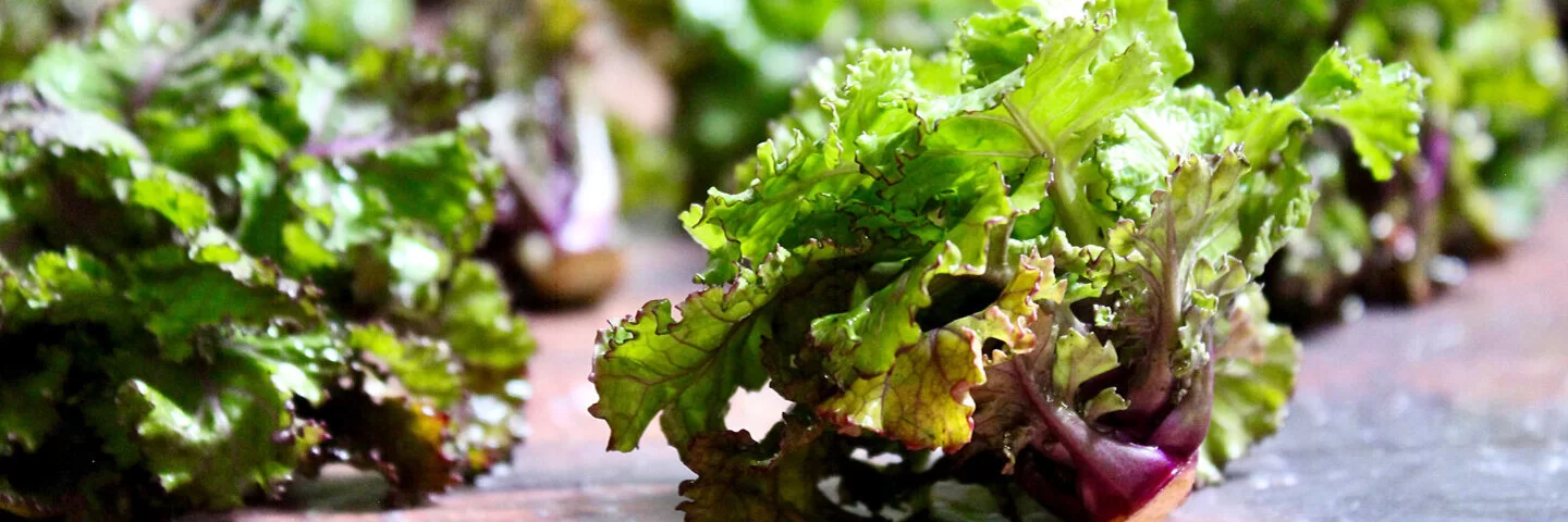 Flower-Sprouts-Röschen liegen auf dem Tisch.