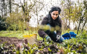 Eine Frau trägt eine Wolljacke und Gartenhandschuhe, hockt in einem Garten und jätet Wildpflanzen im Gemüsebeet.