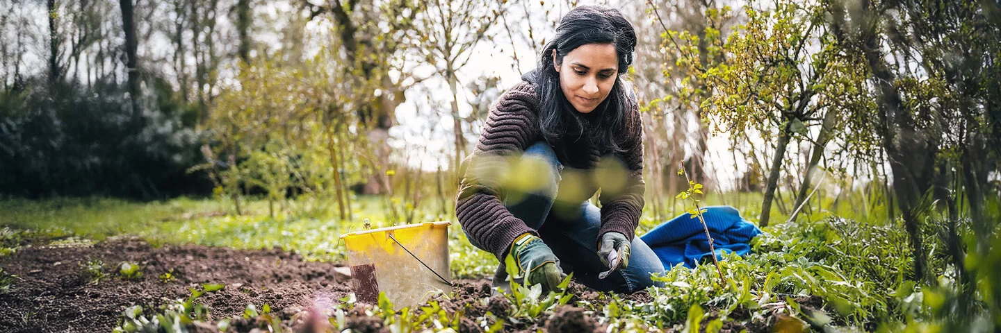 Eine Frau trägt eine Wolljacke und Gartenhandschuhe, hockt in einem Garten und jätet Wildpflanzen im Gemüsebeet.