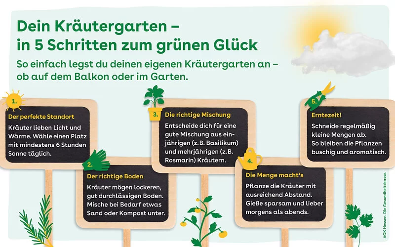 Die Abbildung illustriert die Vorgehnesweise einen eigenen Kräutergarten anzulegen.