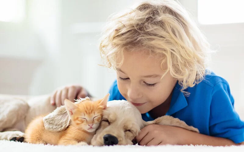 Ein Kleinkind spielt mit einem Welpen und einem Katzenbaby.