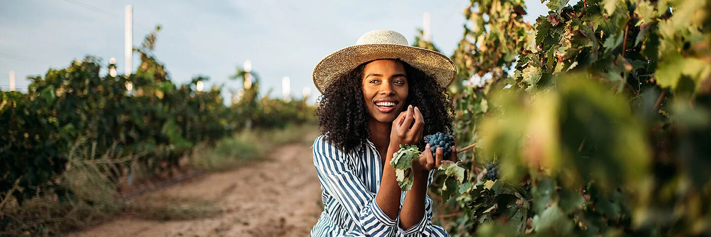 Junge Frau in einem Weinberg geht vor einer Weinrebe in die Hocke und probiert die roten Trauben.