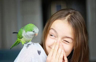 Ein Mädchen im Teenageralter mit langen braunen Haaren hält sich kichernd die Hände vor den Mund, während ein grüner Sittich auf ihrer Schulter sitzt.