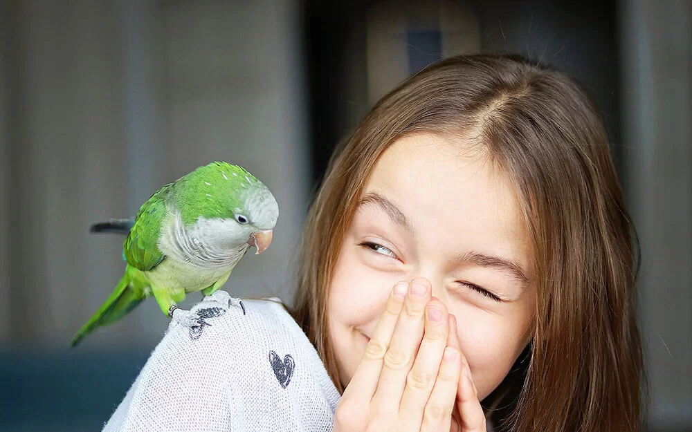 Ein Mädchen im Teenageralter mit langen braunen Haaren hält sich kichernd die Hände vor den Mund, während ein grüner Sittich auf ihrer Schulter sitzt.