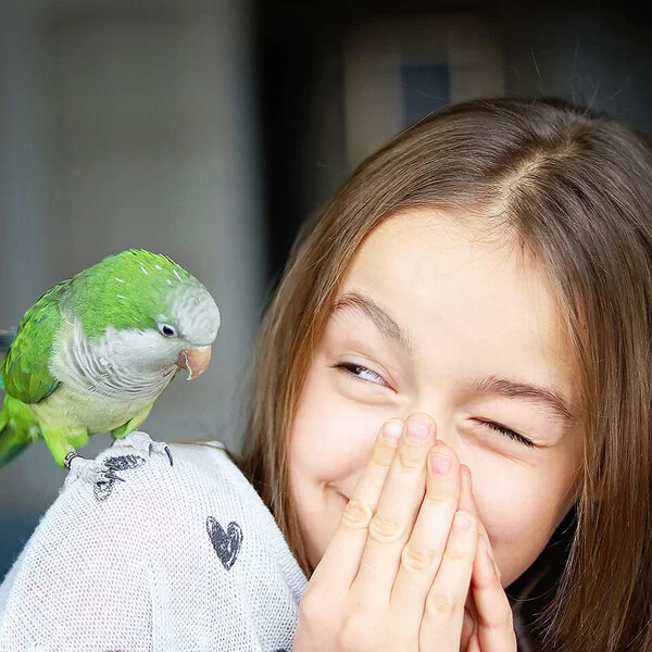 Ein Mädchen im Teenageralter mit langen braunen Haaren hält sich kichernd die Hände vor den Mund, während ein grüner Sittich auf ihrer Schulter sitzt.