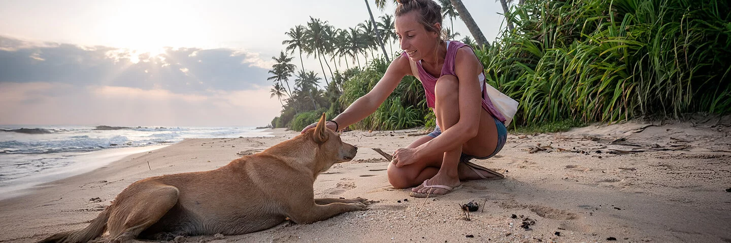 Eine blonde Frau streichelt an einem tropischen Strand einen Hund am Kopf.
