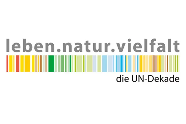 Das Bild zeigt das Logo der AOK Lichtblick Freizeiten. Es besteht aus dem Schriftzug "leben.natur.vielfalt", darunter befinden sich zahlreiche bunte Striche. Unter den Strichen steht der Schriftzug "die UN Dekade".