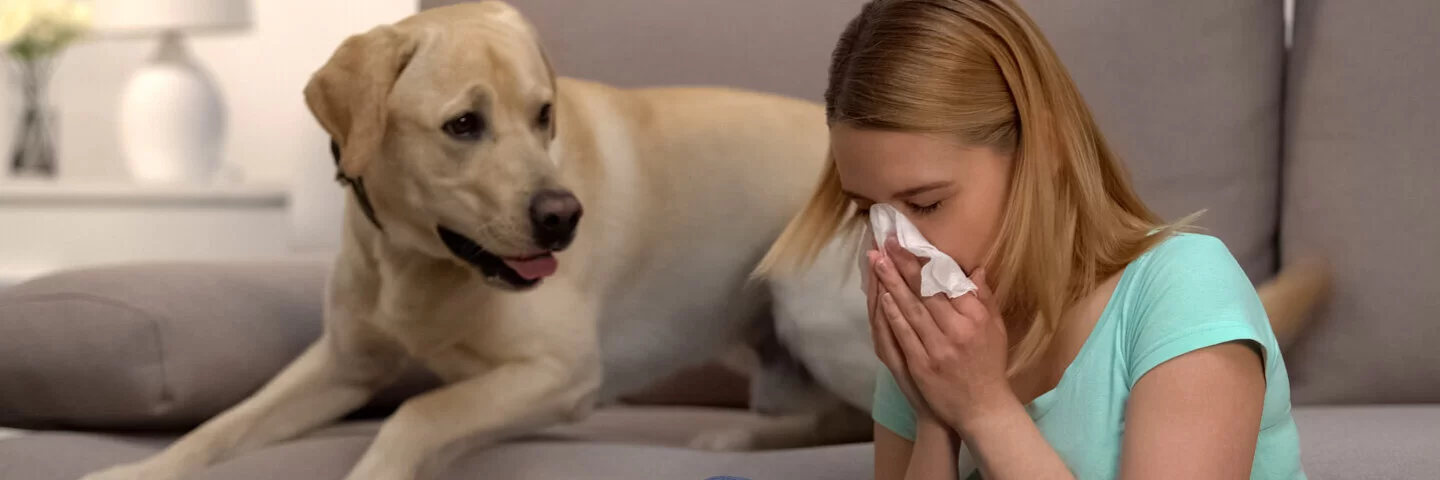 Eine Frau sitzt neben einem Hund und niest in ein Taschentuch. Auch Allergene in Katzen- oder anderen Tierhaaren können eine Tierhaarallergie auslösen.