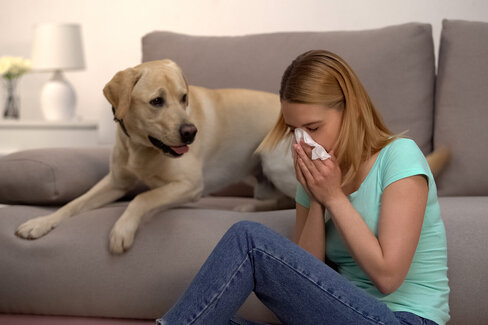 Eine Frau sitzt neben einem Hund und niest in ein Taschentuch. Auch Allergene in Katzen- oder anderen Tierhaaren können eine Tierhaarallergie auslösen.