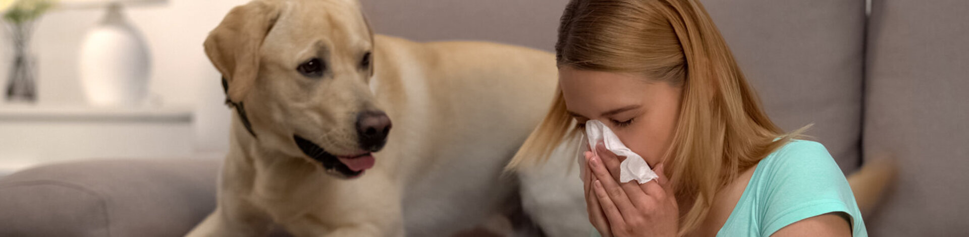 Eine Frau sitzt neben einem Hund und niest in ein Taschentuch. Auch Allergene in Katzen- oder anderen Tierhaaren können eine Tierhaarallergie auslösen.