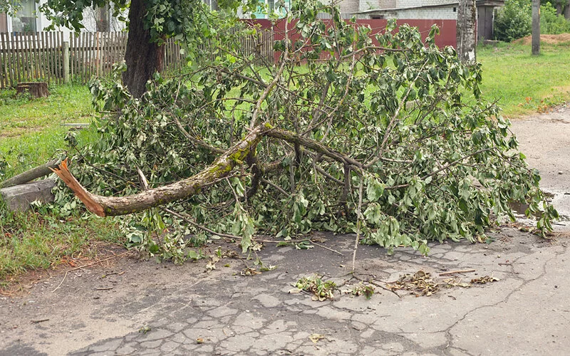 Bei Unwetter und Sturm muss man sich besonders vor herunterstürzenden oder herumfliegenden Ästen schützen.