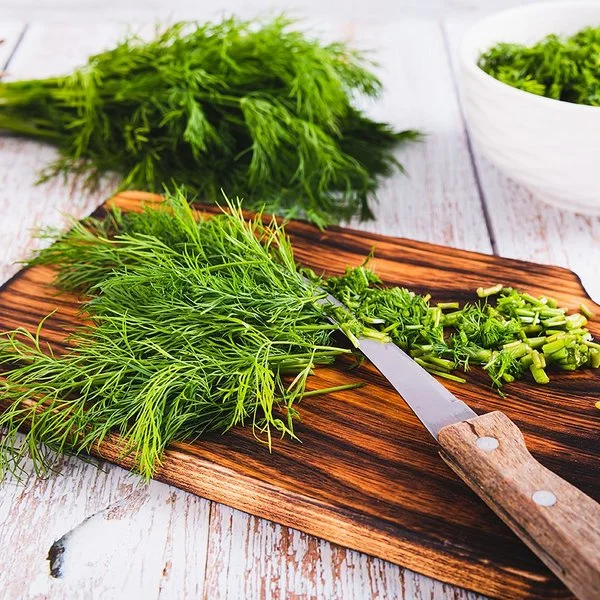 Frischer Dill liegt in einem Bündel auf dem Tisch, daneben geschnittener Dill in einer Schüssel.
