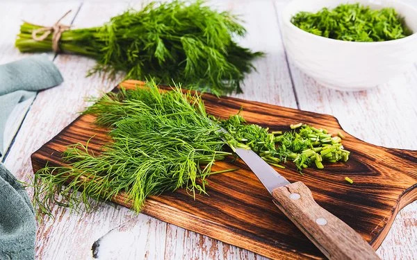 Frischer Dill liegt in einem Bündel auf dem Tisch, daneben geschnittener Dill in einer Schüssel.