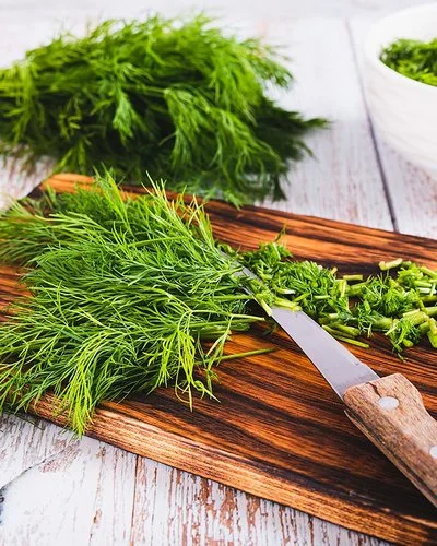 Frischer Dill liegt in einem Bündel auf dem Tisch, daneben geschnittener Dill in einer Schüssel.