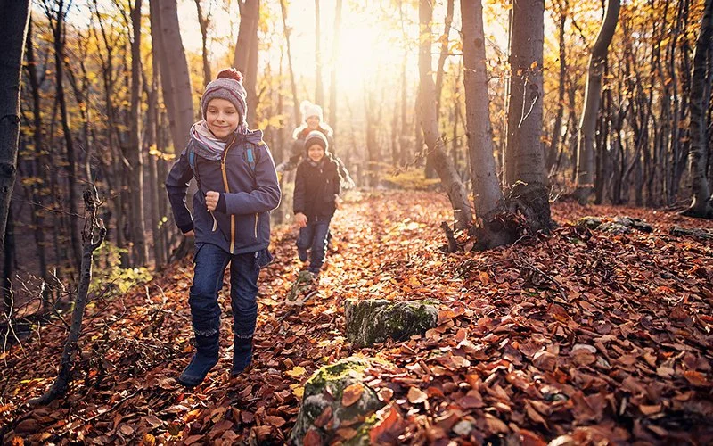 Drei Kinder laufen durch einen Herbstwald.