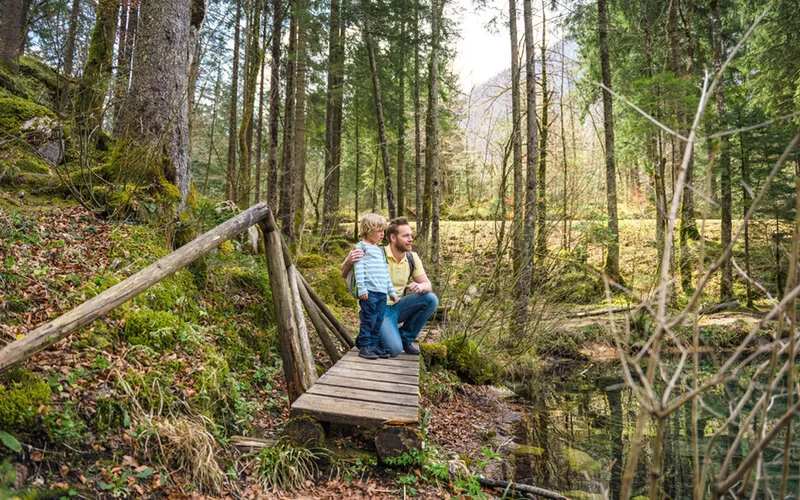 Ein Vater und sein Sohn stehen in einem Waldstück und bestaunen Hessens Natur.