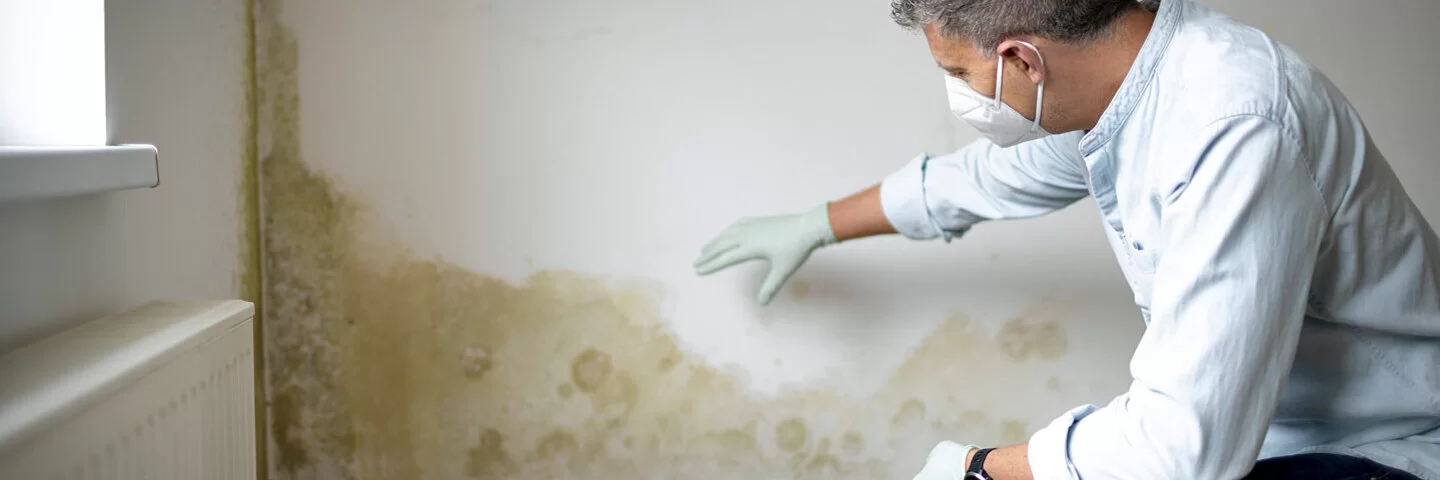 Ein Mann mit Atemschutzmaske und Gummihandschuhen begutachtet eine schimmelige Zimmerwand.