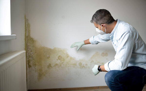Ein Mann mit Atemschutzmaske und Gummihandschuhen begutachtet eine schimmelige Zimmerwand.