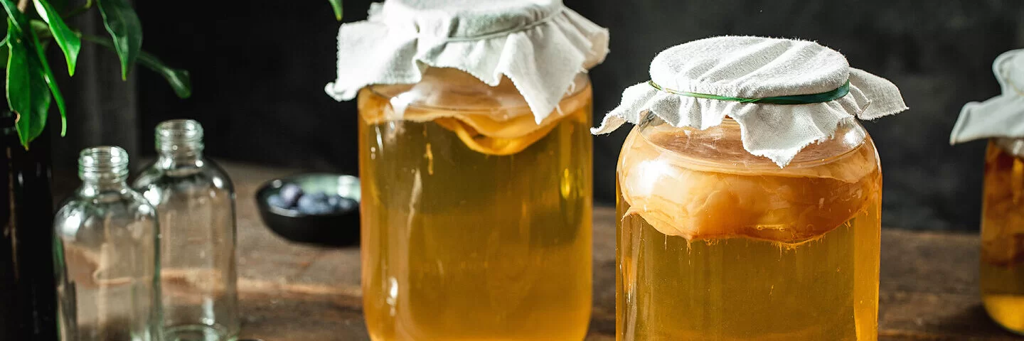 Zwei mit Tüchern abgedeckte Gläser mit Kombucha-Teegetränk und SCOBY auf einem Tisch.